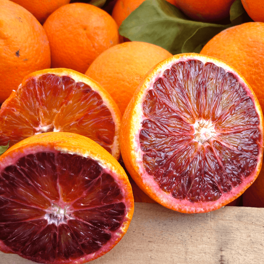 Arance Tarocco Moro IGP Arancia Mia