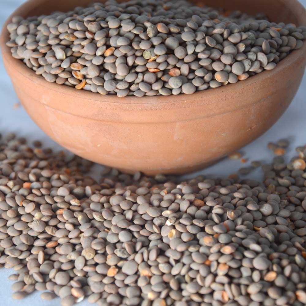 Lenticchie Siciliane 1kg