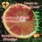 30 kg Arance Tarocco Gallo da Spremuta(3x10kg)