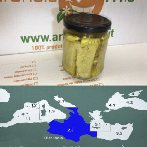Filetti di pesce spada - Arancia Mia