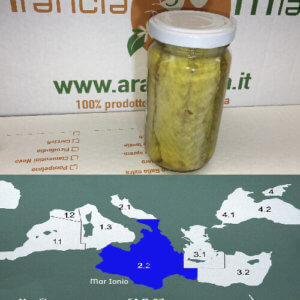 Filetti di sgombro - Arancia Mia