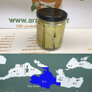 Filetti di tonno bianco alalunga - Arancia Mia