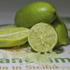 Finger Lime Siciliano – Arancia Mia Finger Lime Siciliano - Arancia Mia