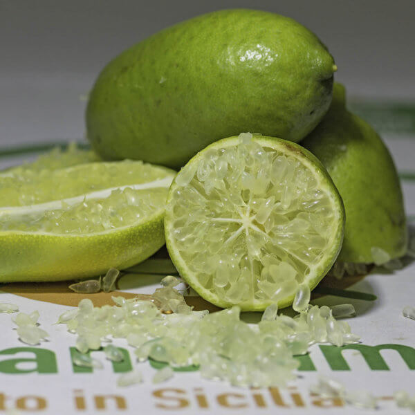 Finger Lime Siciliano - Arancia Mia