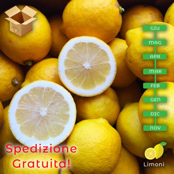 Limoni siciliani - arancia mia