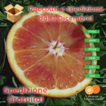 Pacco 15 Kg di Arance Tarocco Gallo da tavola