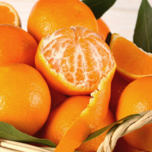 clementine nova - Arancia Mia