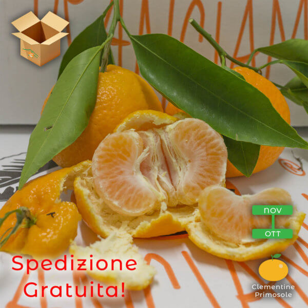 clementine primosole - AranciaMia