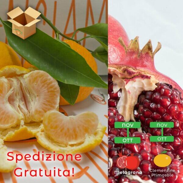 clementine primosole-melagrana con pacco - aranciamia