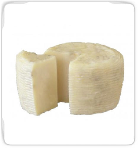 Pecorino primo sale senza farcitura